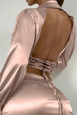 Autumn New Two Colors Slight Stretch Satin Single-breasted Backless Lace-up Stylish Sexy Shirt Mini Dress Wholesale Cut Out Dresses 21 Autumn New Two Colors Slight Stretch Satin Single-breasted Backless Lace-up Stylish Sexy Shirt Mini Dress Wholesale Cut Out Dresses -Plus-Size Dresses Sales Store 16619963728962 1