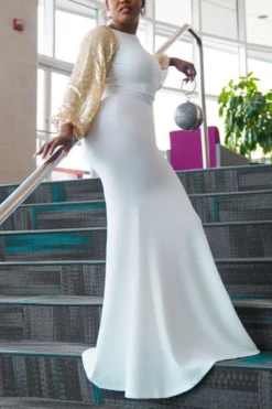 Autumn New Sequin Decor Stretch Backless Elegant Fishtail Maxi Dress Wholesale Cut Out Dresses -Plus-Size Dresses Sales Store AA001157 3