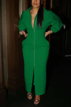 Autumn New Plus Size Solid Color Micro-elastic Turndown Collar Zip-up Casual Stylish Maxi Dress Wholesale -Plus-Size Dresses Sales Store AA001974 3