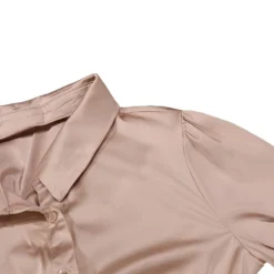 Autumn New Two Colors Slight Stretch Satin Single-breasted Backless Lace-up Stylish Sexy Shirt Mini Dress Wholesale Cut Out Dresses 30 Autumn New Two Colors Slight Stretch Satin Single-breasted Backless Lace-up Stylish Sexy Shirt Mini Dress Wholesale Cut Out Dresses -Plus-Size Dresses Sales Store AA008756 7