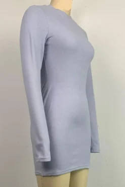 Sexy Plus-size High Stretch Double Sided Velvet Tight Simple Mini Dress Wholesale Plus-Size Dresses -Plus-Size Dresses Sales Store AA016610 7