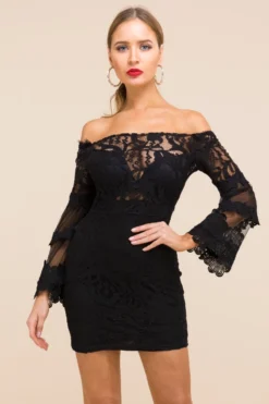 Plus Size Sexy Fashion Temperament Stretch See Through Solid Color Tube Top Lace Dress Wholesale -Plus-Size Dresses Sales Store a21643 2