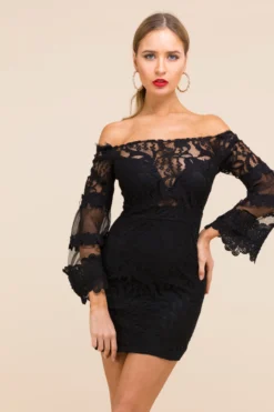 Plus Size Sexy Fashion Temperament Stretch See Through Solid Color Tube Top Lace Dress Wholesale -Plus-Size Dresses Sales Store a21643 4 2 scaled