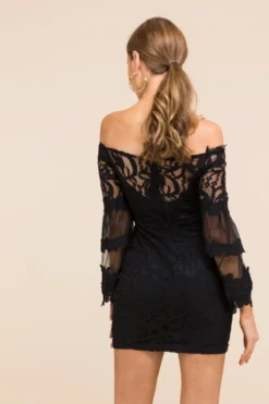 Plus Size Sexy Fashion Temperament Stretch See Through Solid Color Tube Top Lace Dress Wholesale -Plus-Size Dresses Sales Store a21643 7