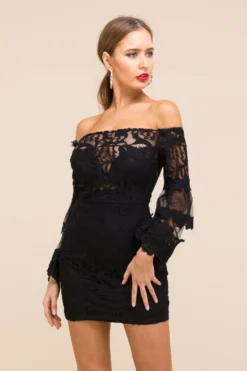 Plus Size Sexy Fashion Temperament Stretch See Through Solid Color Tube Top Lace Dress Wholesale -Plus-Size Dresses Sales Store a21643 9