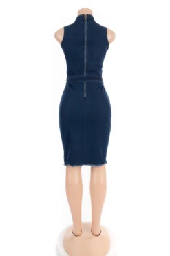 Plus Size Solid Color Back Zip-up Single Breasted Micro Elastic Hole Denim Dress (with Belt) Wholesale Casual Dresses -Plus-Size Dresses Sales Store b21170 r3